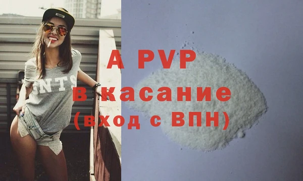 ПСИЛОЦИБИНОВЫЕ ГРИБЫ Заводоуковск