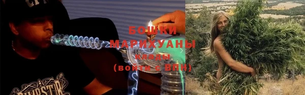 ПСИЛОЦИБИНОВЫЕ ГРИБЫ Заводоуковск