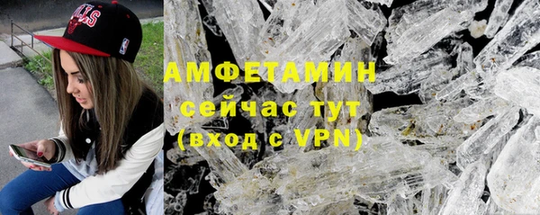 ПСИЛОЦИБИНОВЫЕ ГРИБЫ Заводоуковск