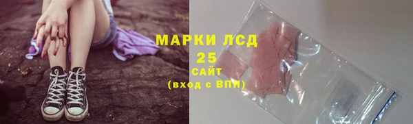ПСИЛОЦИБИНОВЫЕ ГРИБЫ Заводоуковск